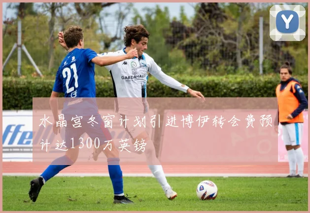 水晶宫冬窗计划引进博伊转会费预计达1300万英镑