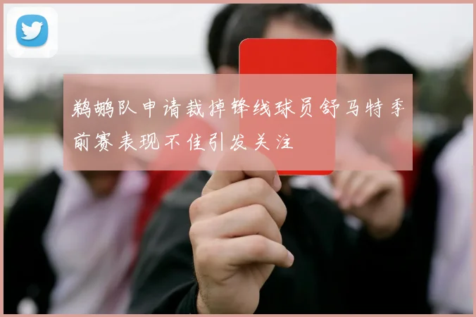 鹈鹕队申请裁掉锋线球员舒马特季前赛表现不佳引发关注