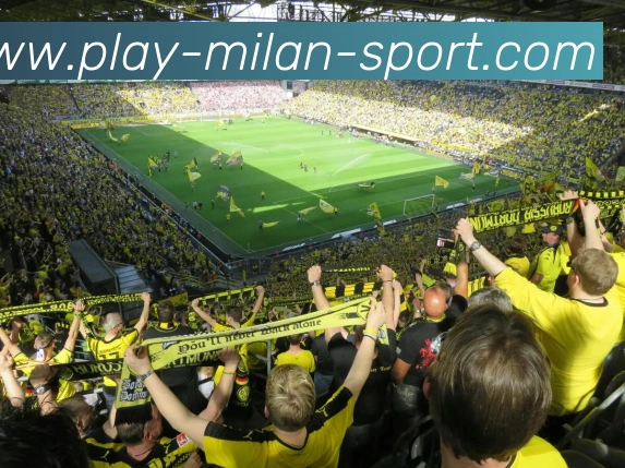 布克谈绝杀瞬间的独特感受与儿时梦想的深刻回忆